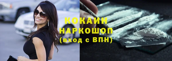 шишки Белоозёрский