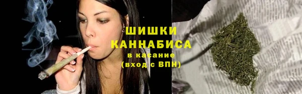шишки Белоозёрский