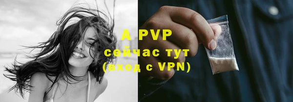 шишки Белоозёрский