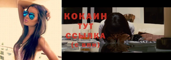 шишки Белоозёрский