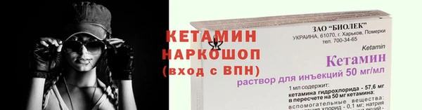 шишки Белоозёрский