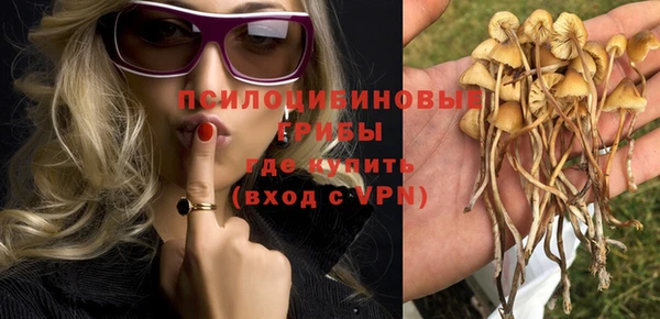 apvp Баксан