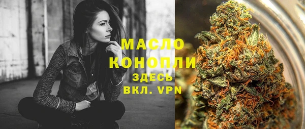 шишки Белоозёрский