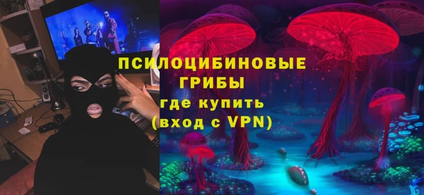 шишки Белоозёрский