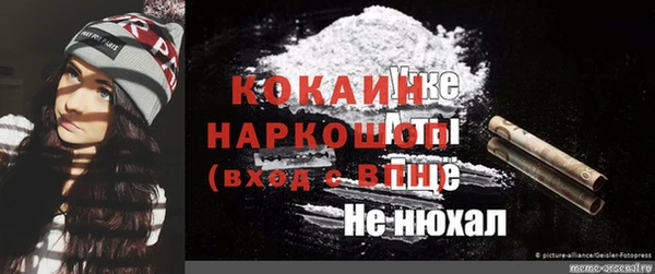 индика Балахна