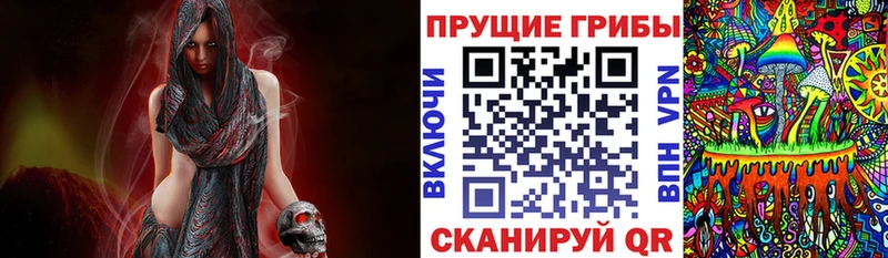 дарнет шоп  Бирск  Галлюциногенные грибы мицелий 